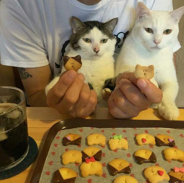 УЛЫБНИСЬ-КА :)