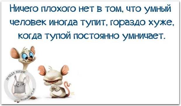 Позитивные фразочки в прикольных картинках (23 штуки)