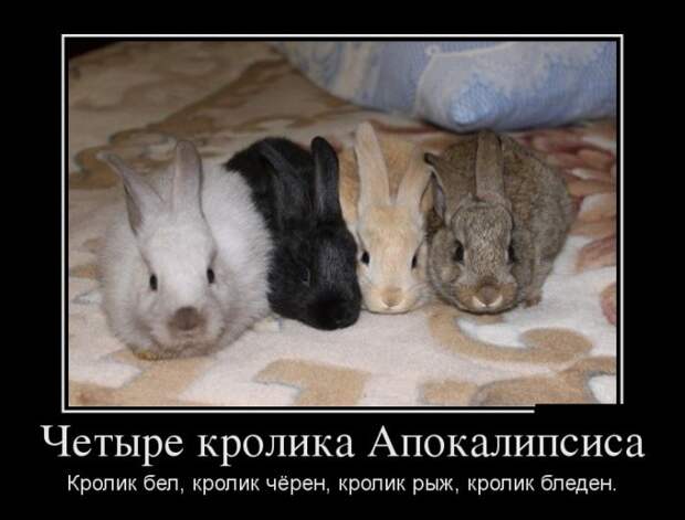 Демотиваторы демотиваторы