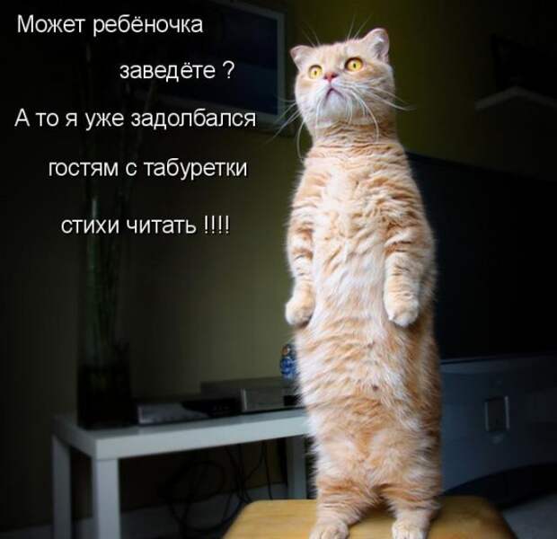 Давайте улыбаться вместе! :) №270114