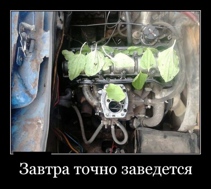 Демотиваторы демотиваторы, юмор