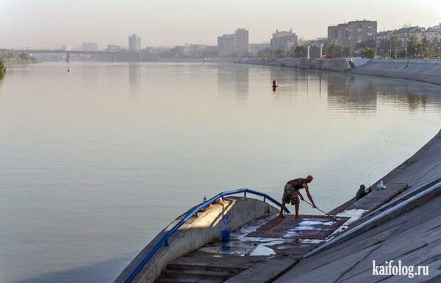 Приколы про ковры (45 фото)