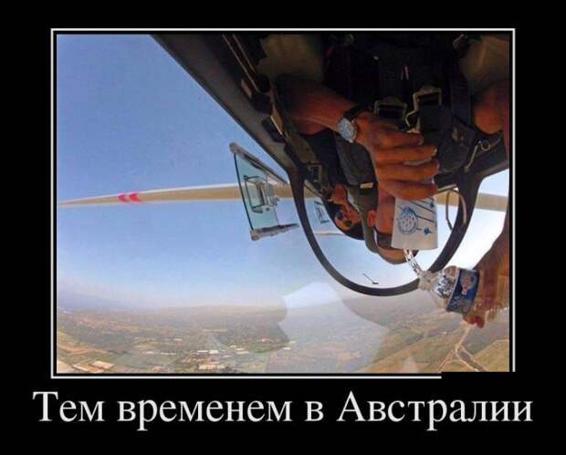 Демотиваторы демотиваторы