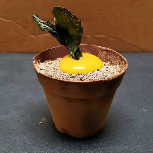 Chocolate Plant Pot Filled With White Chocolate Creme And Carrot Cake, Topped With Grated Chocolate And An Orange And Carrot Gel