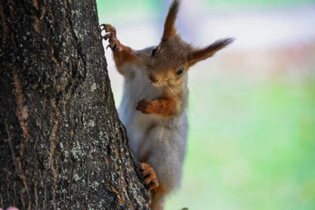 В этом полугодии у россиян ещё трижды будут трёхдневные выходные