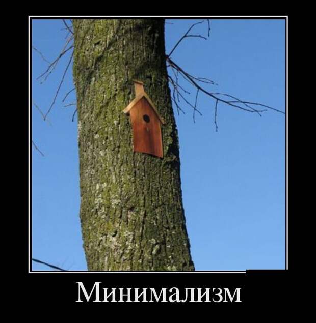 Демотиваторы Демотиваторы демотиваторы, юмор