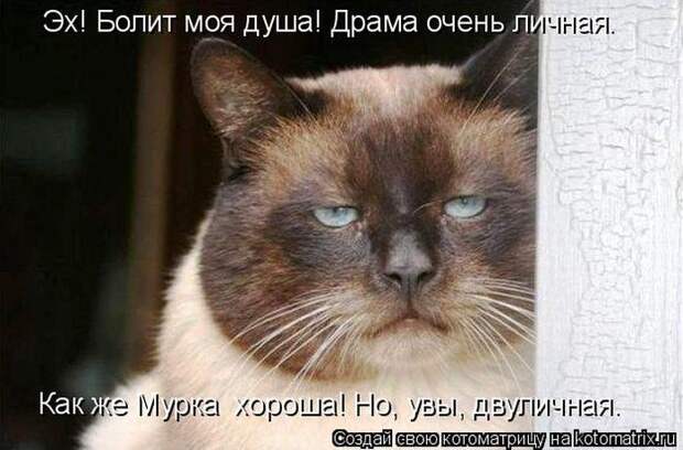 Мысли вслух :)
