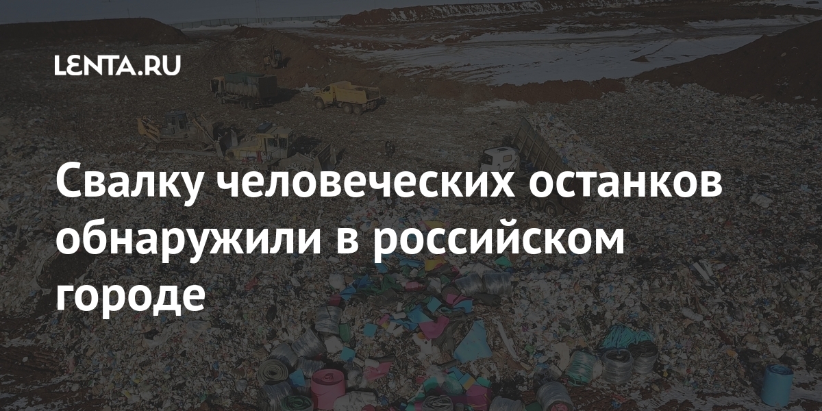 Свалку человеческих останков обнаружили в российском городе