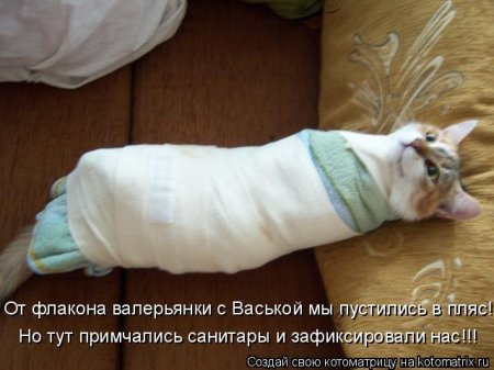 Котоматрицы про тех кому хорошо живется.