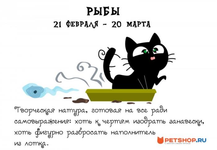 Котячий гороскоп (12 фото) Котячий гороскоп (12 фото)