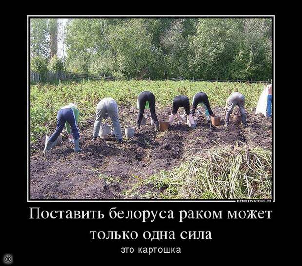 Осеннее остроумие в демках 24