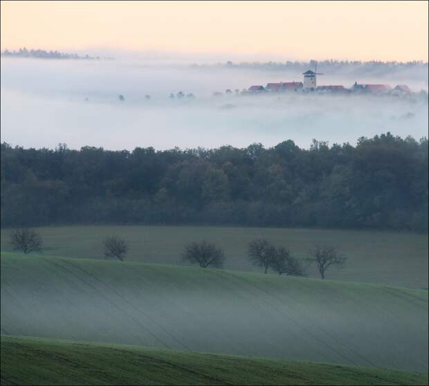 Буковане