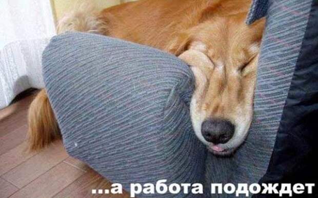 19jpg