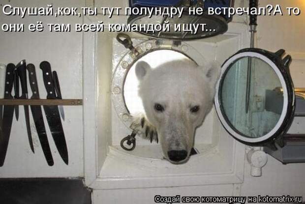 Мысли вслух :)