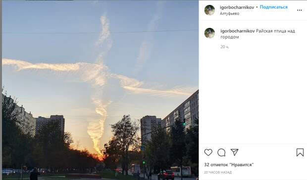 Фото дня: «райская птица» в небе над Алтуфьево