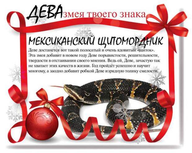 Какой змеей будешь ты в 2013 году (13 фото) Какой змеей будешь ты в 2013 году (13 фото)