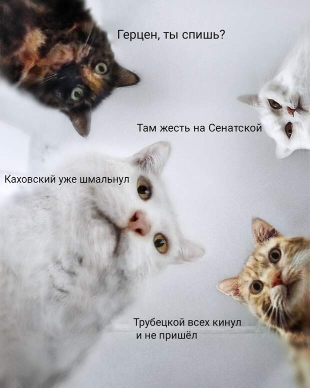 Декабристы. От французятины до лучших людей