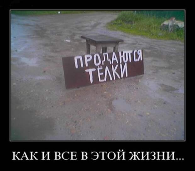 Демотиваторы новые фото приколы и смешные.