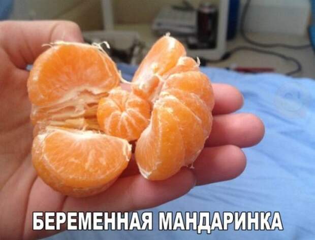 Прикольные фотомемы на Бугаге (22 шт)
