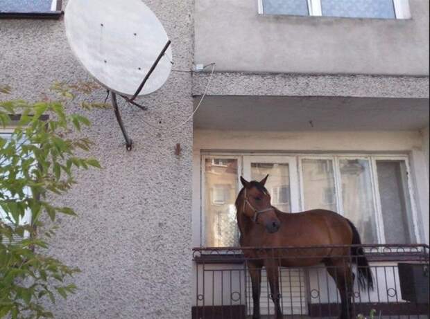 самые нелепые фотографии 