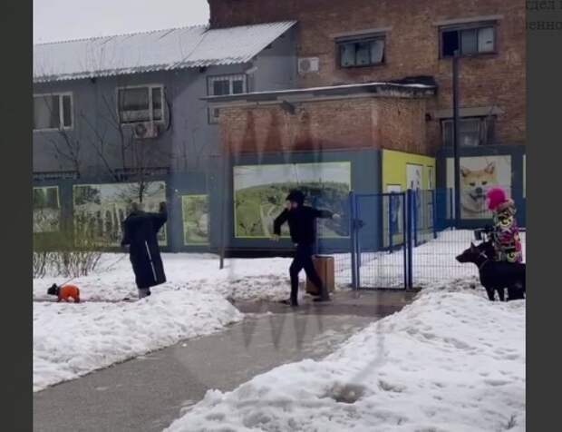 Скрин видео нападения в Гольяново.