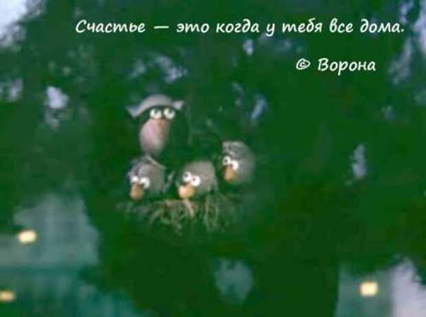 Любимые цитаты из старых и добрых мультиков (25 фото)