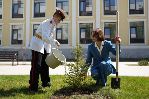 Молодые ели высадили у Иркутского суворовского училища
