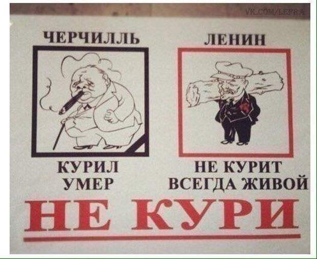 Немного деграданса Немного деграданса