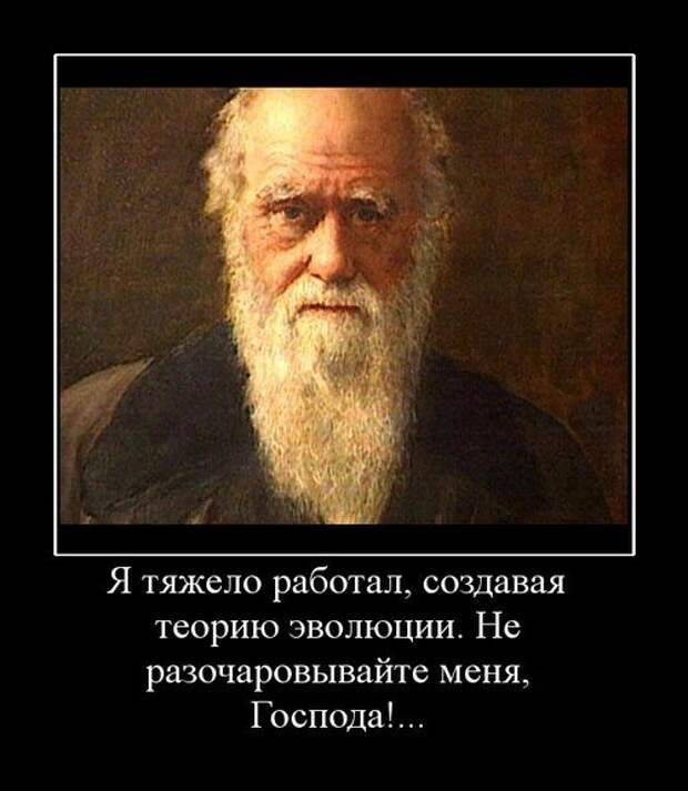 Свежие претенденты на премию Дарвина Свежие претенденты на премию Дарвина