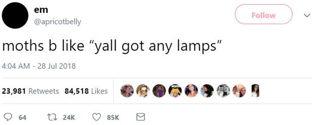 Мемы с молью