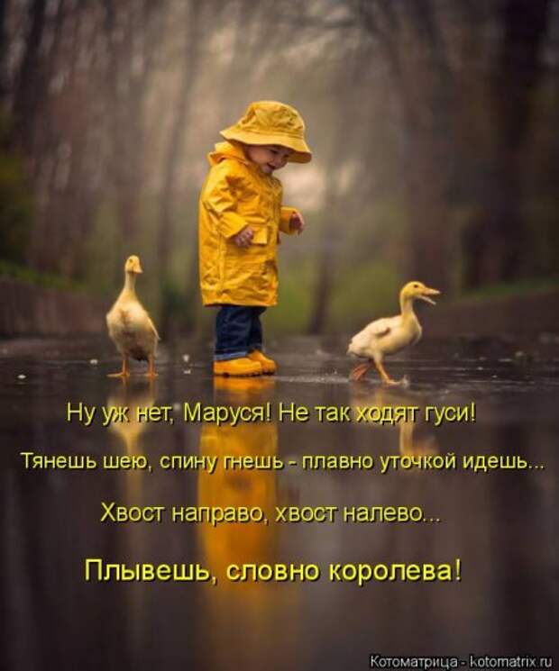 Звероматрицы пришли.
