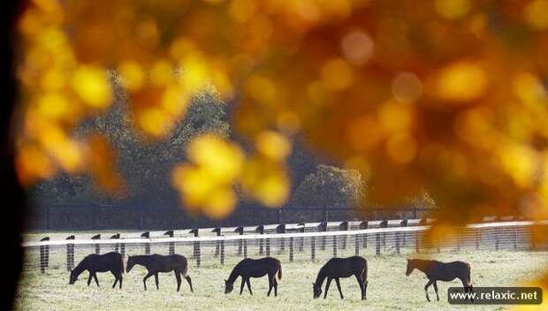 october_034 october_034