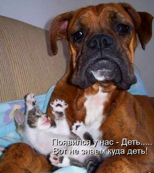 1366359716_kotomatrix_05