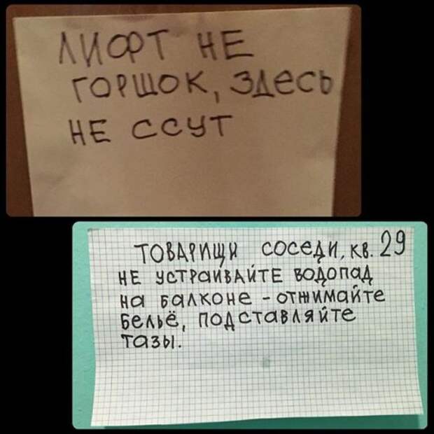 Смешные объявления и надписи в подъездах (20 фото)