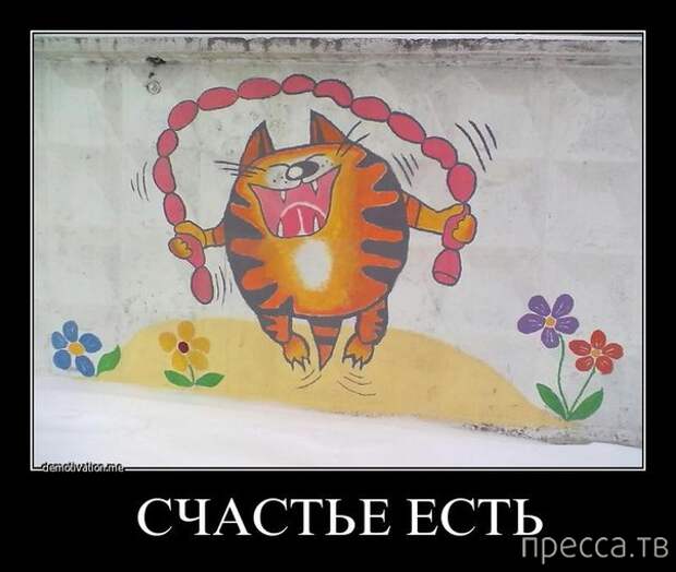 Демотиваторы (30 фото)