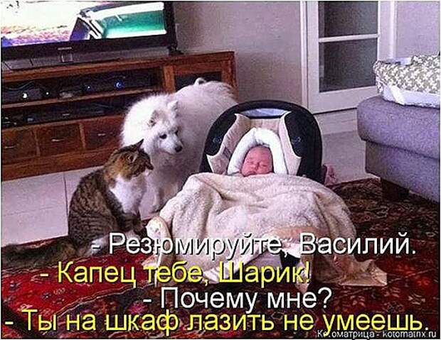 e8b66774e567ae4236f84c8ccf2_prev