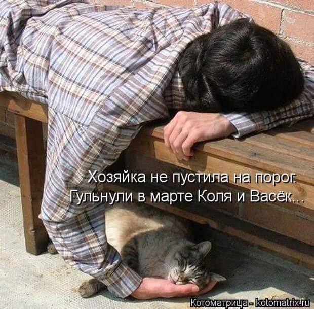 Лучшие котоматрицы недели