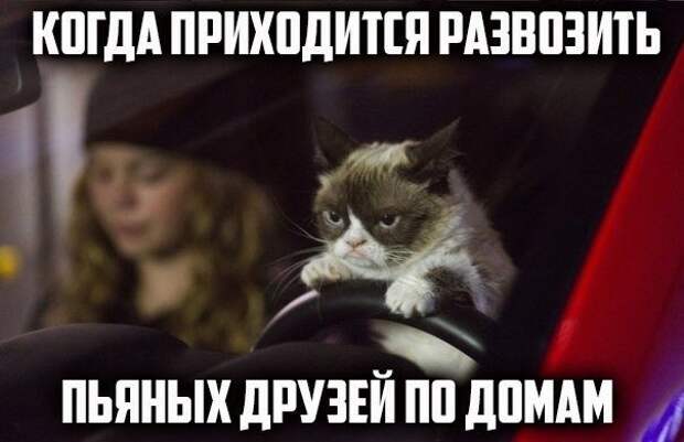 Немного автоприколов