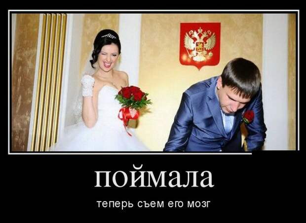 Демотиваторы (30 фото)