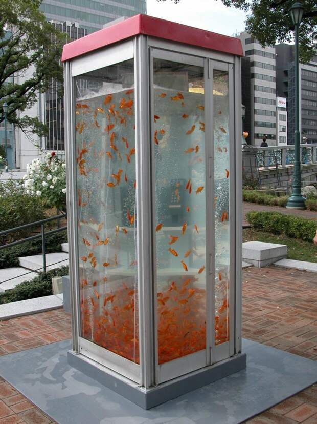 5. Аквариум "Телефонная будка" аквариумы, животные, мир, рыбы