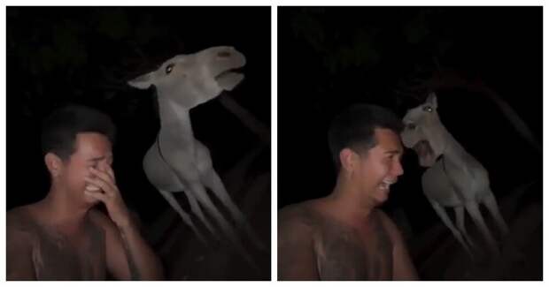 Парень нашёл родственную душу