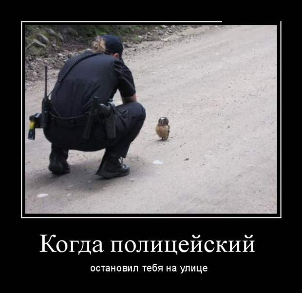 Демотиваторы (30 фото)