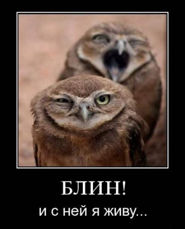 Демотиваторы приколя дня.