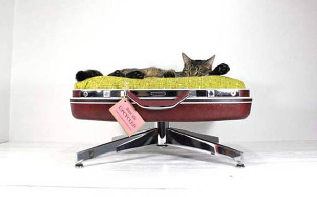 Винтажная лежанка для кота, любящего путешествовать