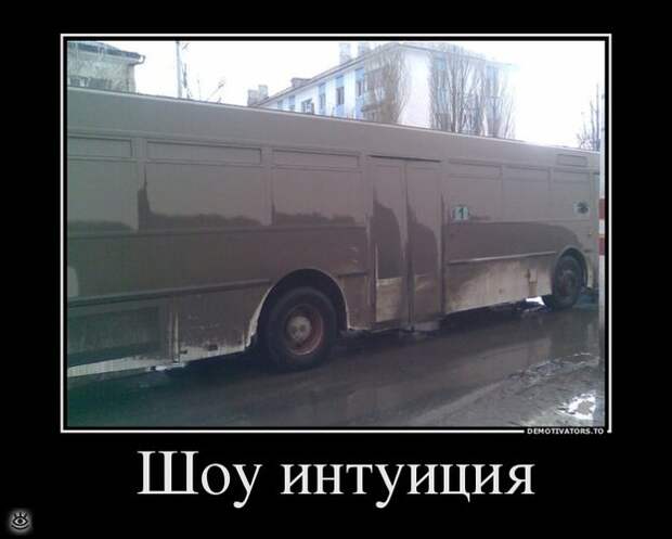 Спасибо женщинам за эволюцию! 45