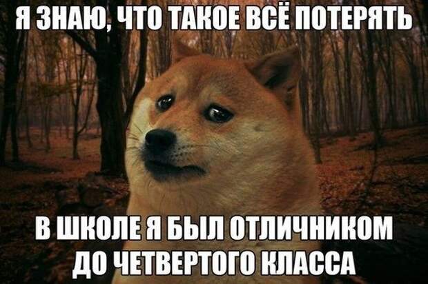 Забавные фотомемы