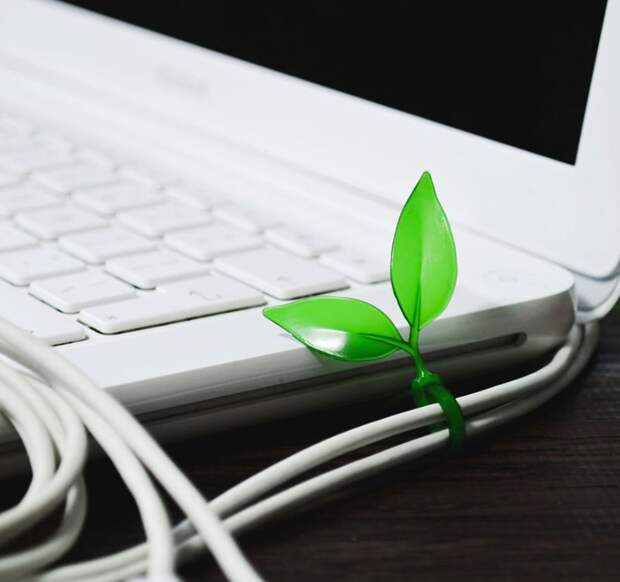 green-design-ideas-inspired-by-nature-2-23-5
