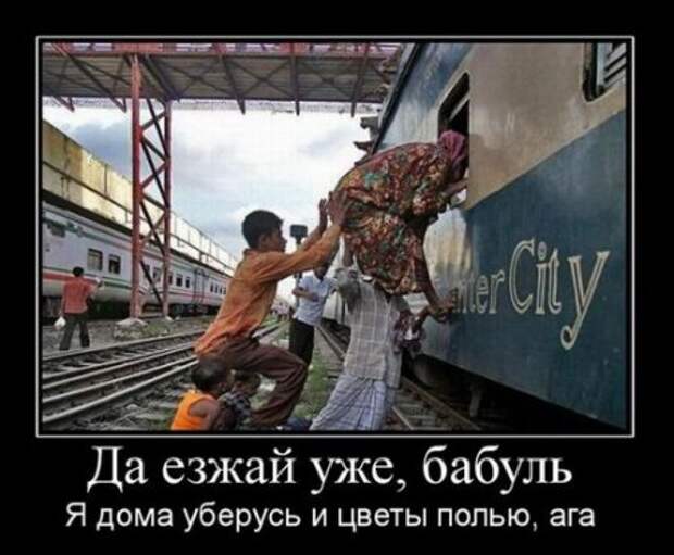Демотиваторы смешарики и приколы в черных рамках.