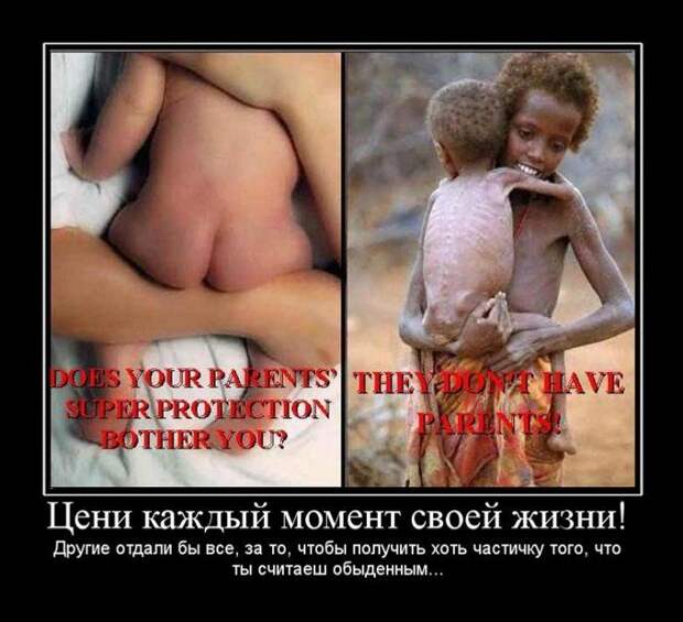 Демотиваторы (133 картинки)