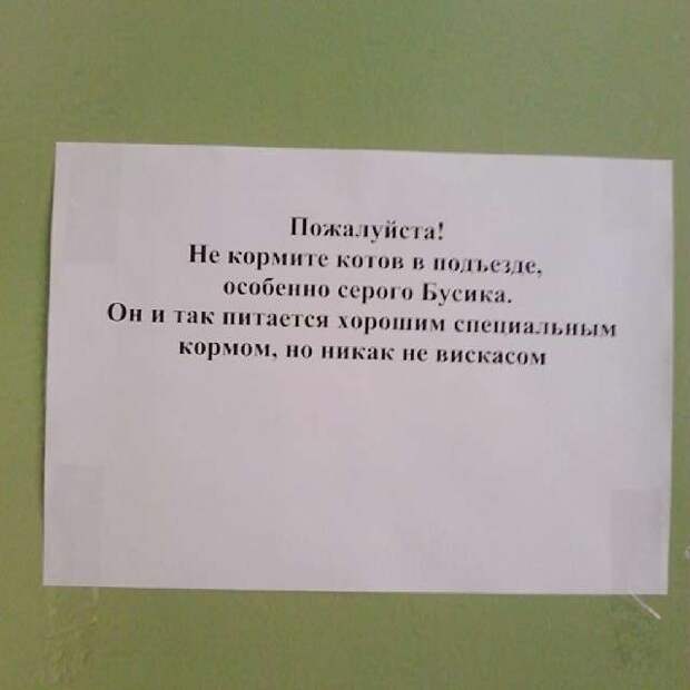 Шедевральные подъездные объявления